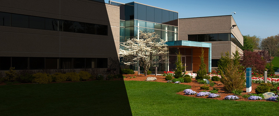 Yorktown Landscapers